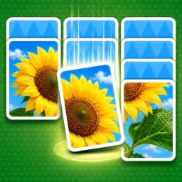Jigdrop Match-Solitaire Puzzle icon